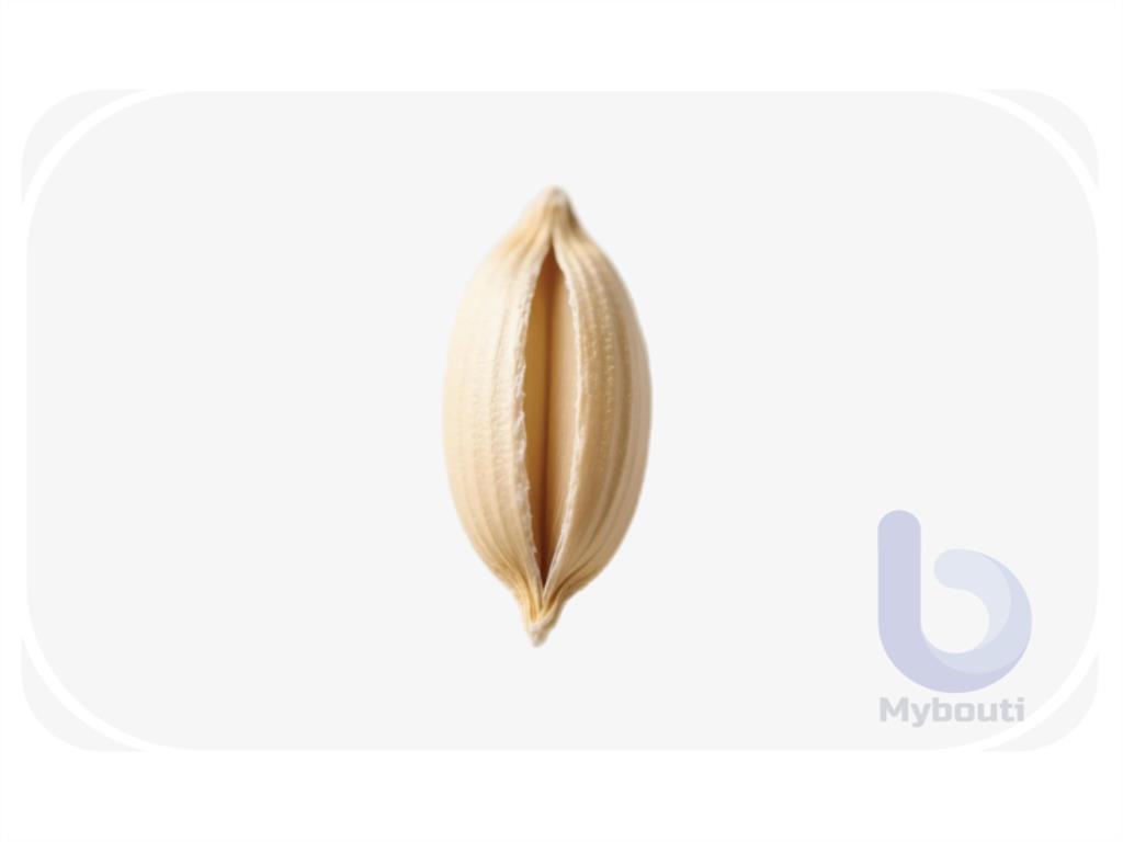 Asientos